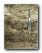 Click to enlarge this image